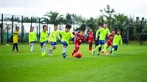 中国体操队巴黎行：满怀信心，奋勇争先，实干先锋展翅